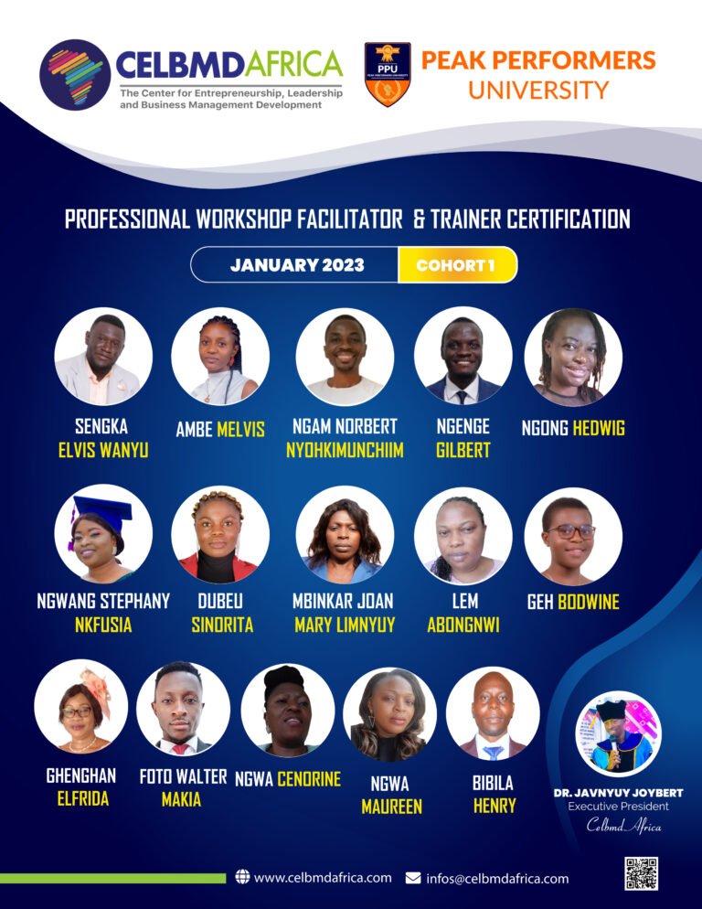 Read more about the article Press Release: Announcing Professional Workshop Facilitators